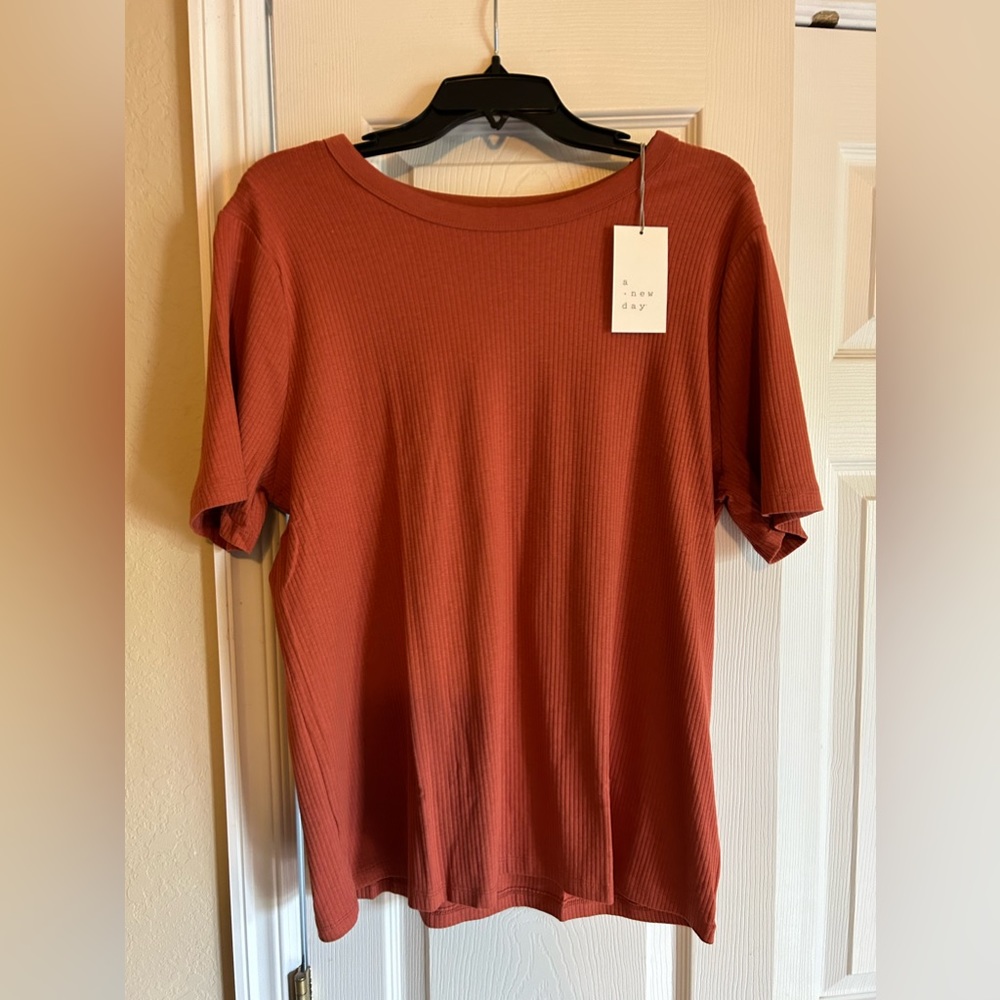 Burnt orange knit top. A new day. 1X